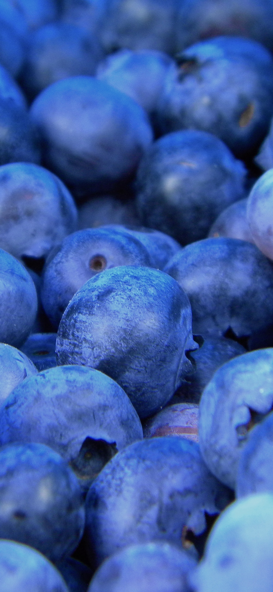 Blue Berries in Close up Photography. Wallpaper in 1125x2436 Resolution