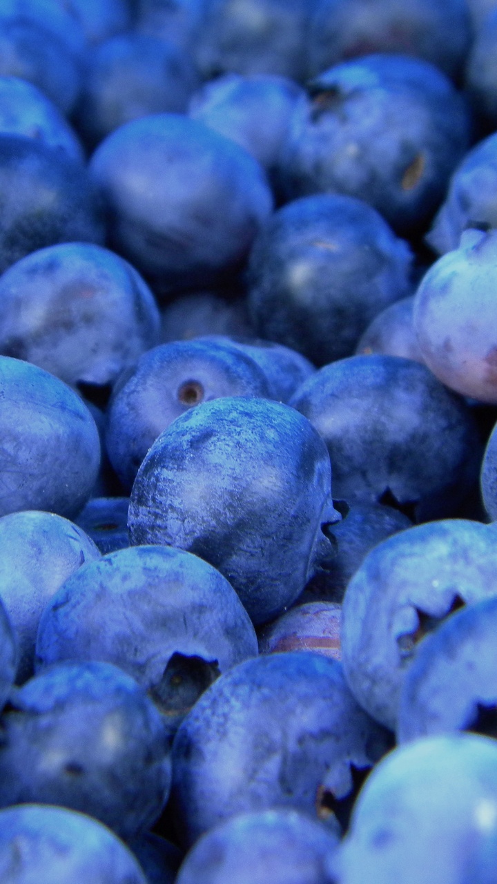 Blue Berries in Close up Photography. Wallpaper in 720x1280 Resolution