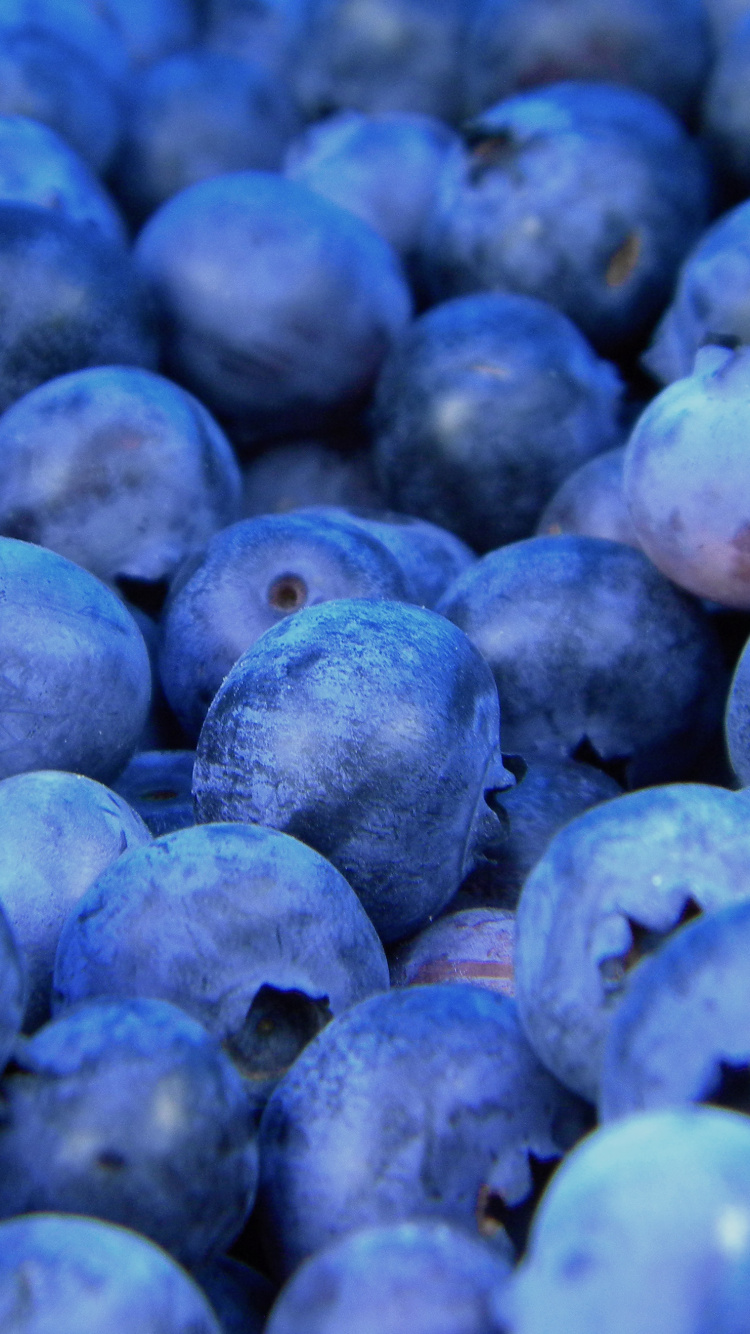 蓝莓, 无核果, 食品, 工厂, 味道 壁纸 750x1334 允许