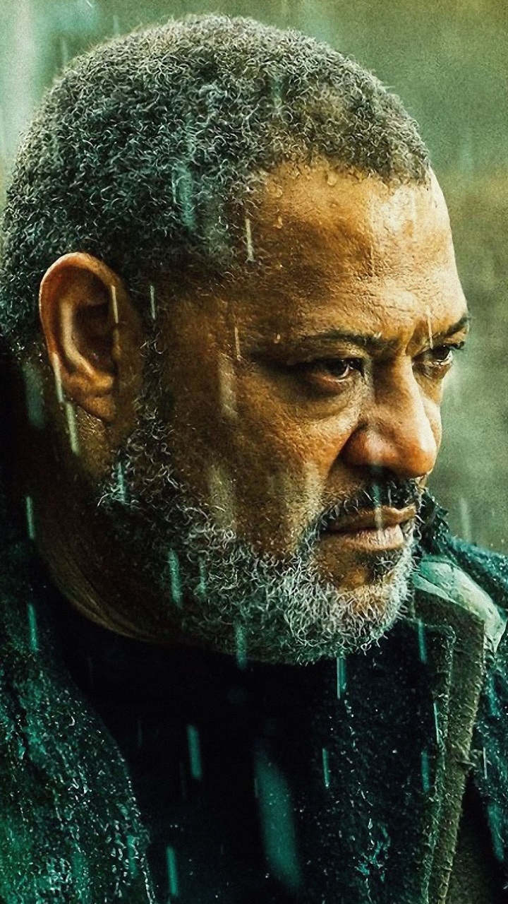 约翰芯第3章鲁格, 约翰芯, 胡子, 脸上的毛发, 肖像 壁纸 720x1280 允许