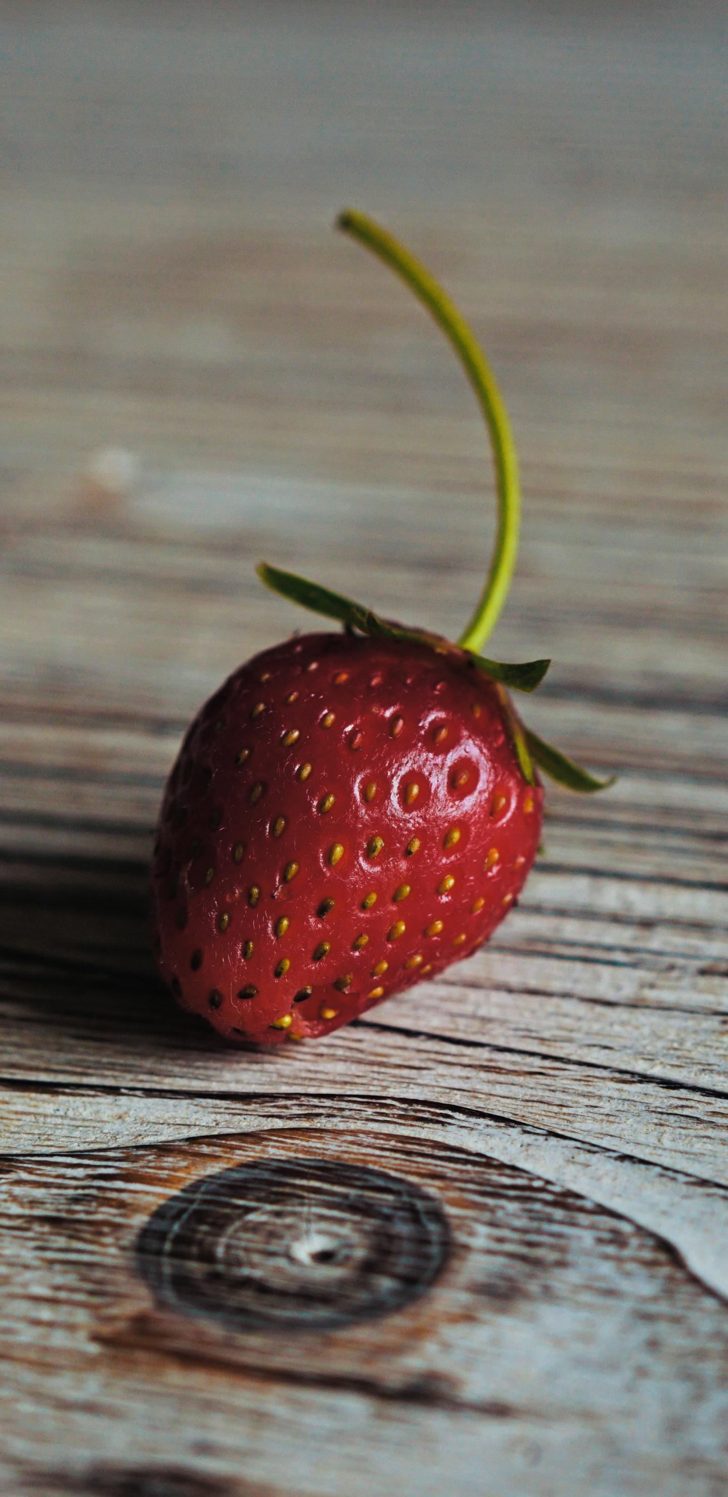 Fraise Rouge Sur Une Table en Bois Marron. Wallpaper in 1440x2960 Resolution