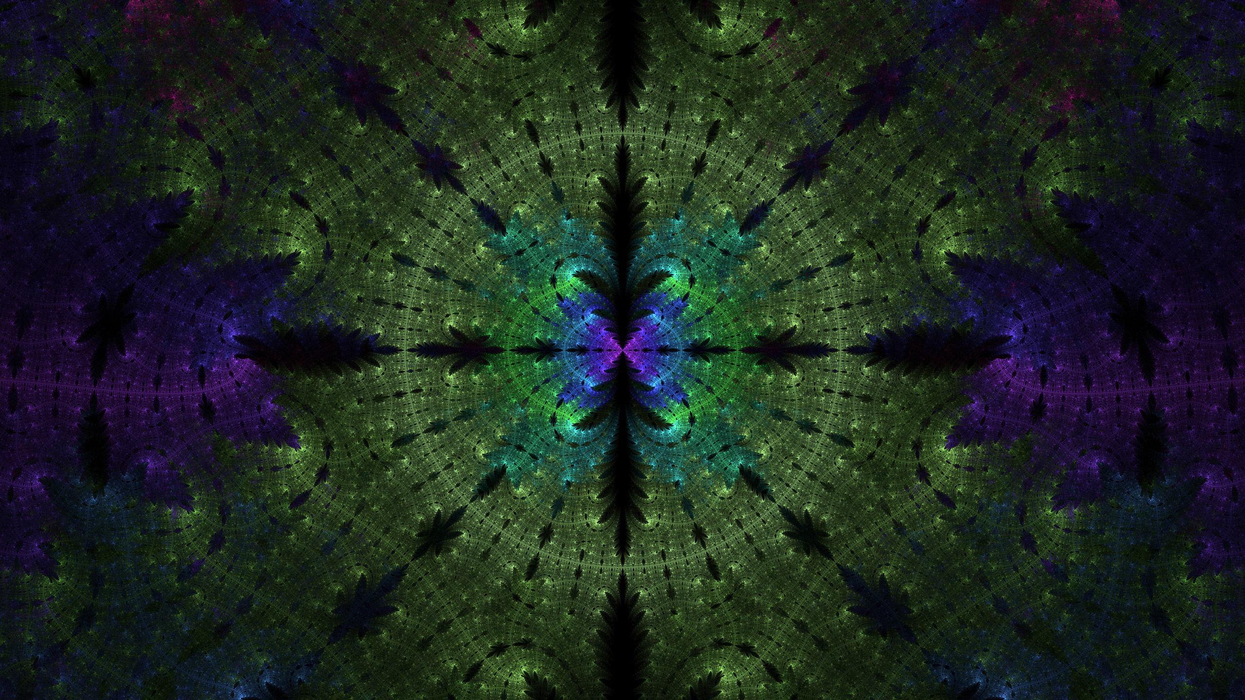 分形, 对称, 绿色的, 紫色的, 分形技术 壁纸 2560x1440 允许