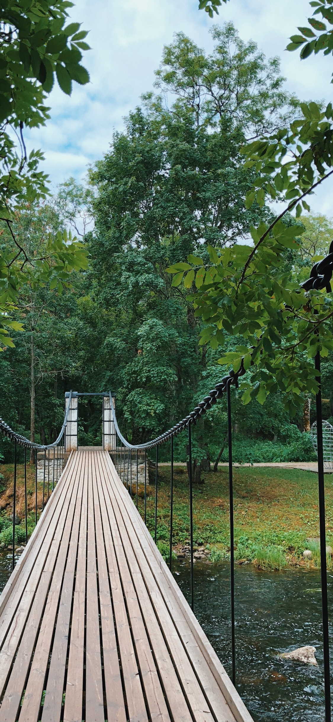 Nature, Suspension Bridge, Biology, Science, Wood. Wallpaper in 1125x2436 Resolution