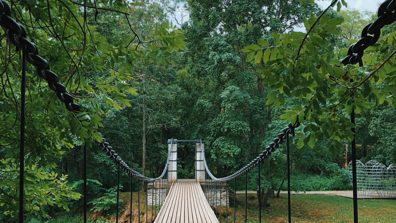Nature, Suspension Bridge, Biology, Science, Wood. Wallpaper in 1366x768 Resolution