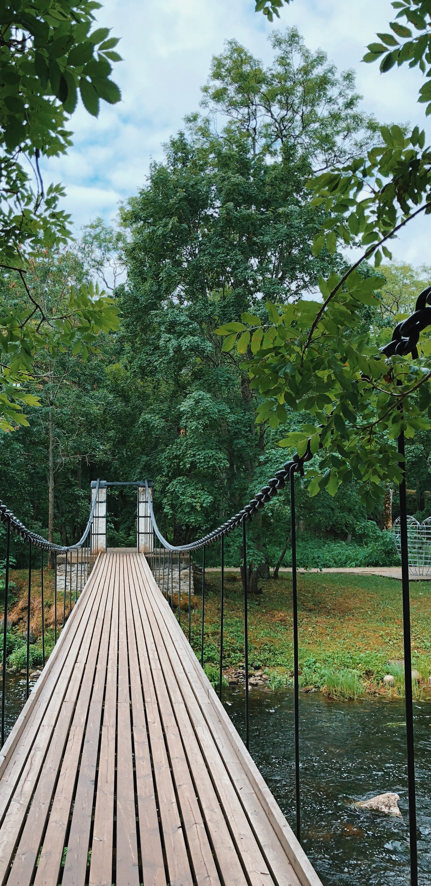 Nature, Suspension Bridge, Biology, Science, Wood. Wallpaper in 1440x2960 Resolution