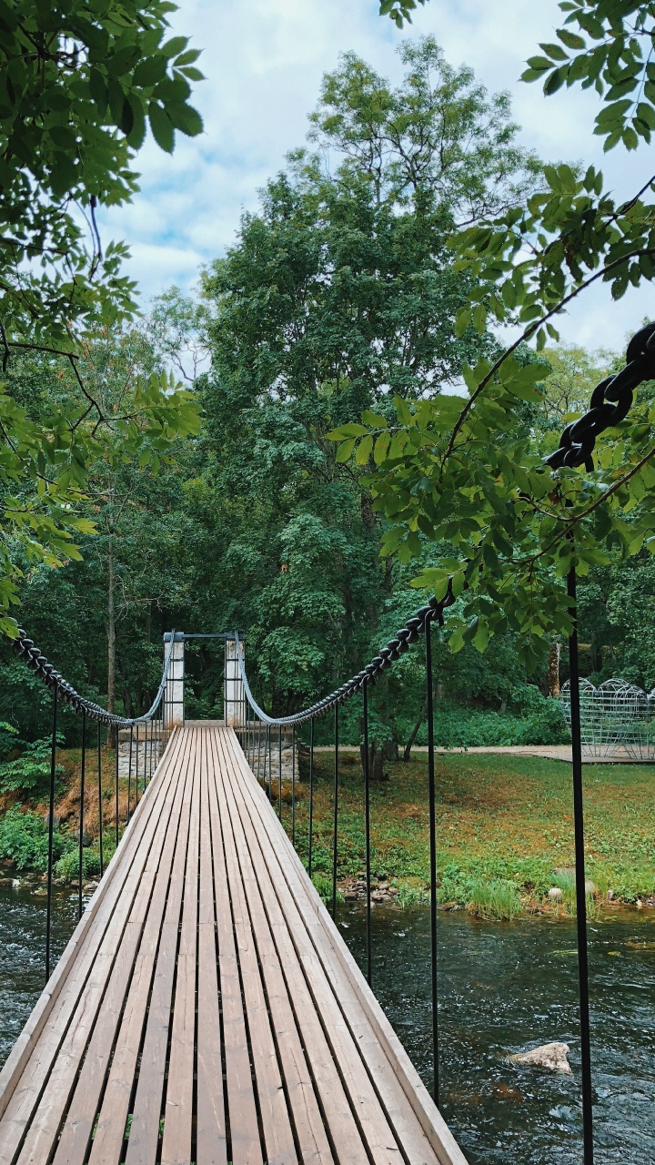Nature, Suspension Bridge, Biology, Science, Wood. Wallpaper in 720x1280 Resolution