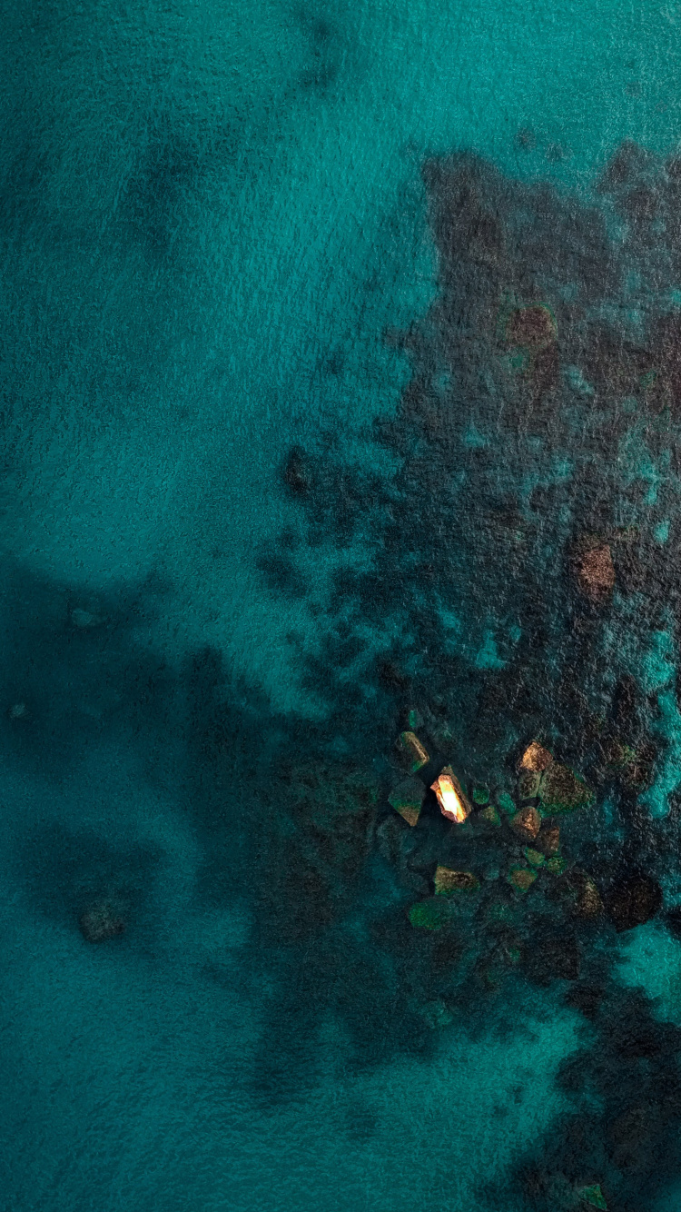 Azul, Agua, Verde, Aqua, Turquesa. Wallpaper in 750x1334 Resolution