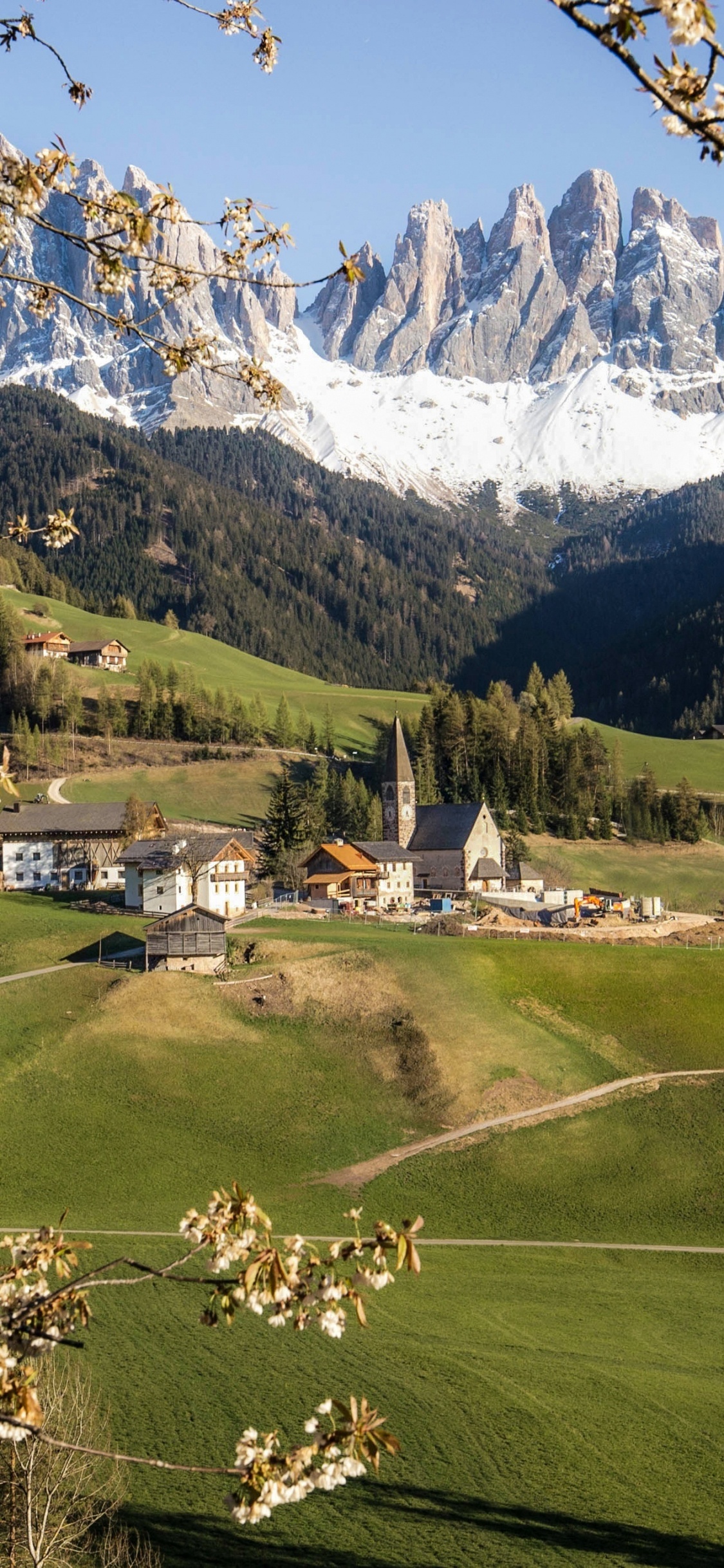 Funes Tal, Dolomiten, Natur, Naturlandschaft, Baum. Wallpaper in 1125x2436 Resolution