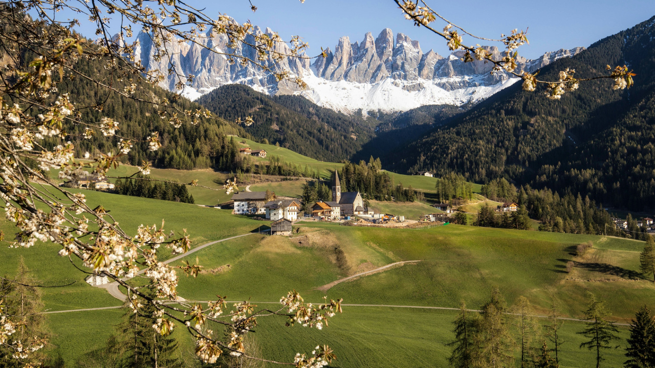 Funes Tal, Dolomiten, Natur, Naturlandschaft, Baum. Wallpaper in 1280x720 Resolution