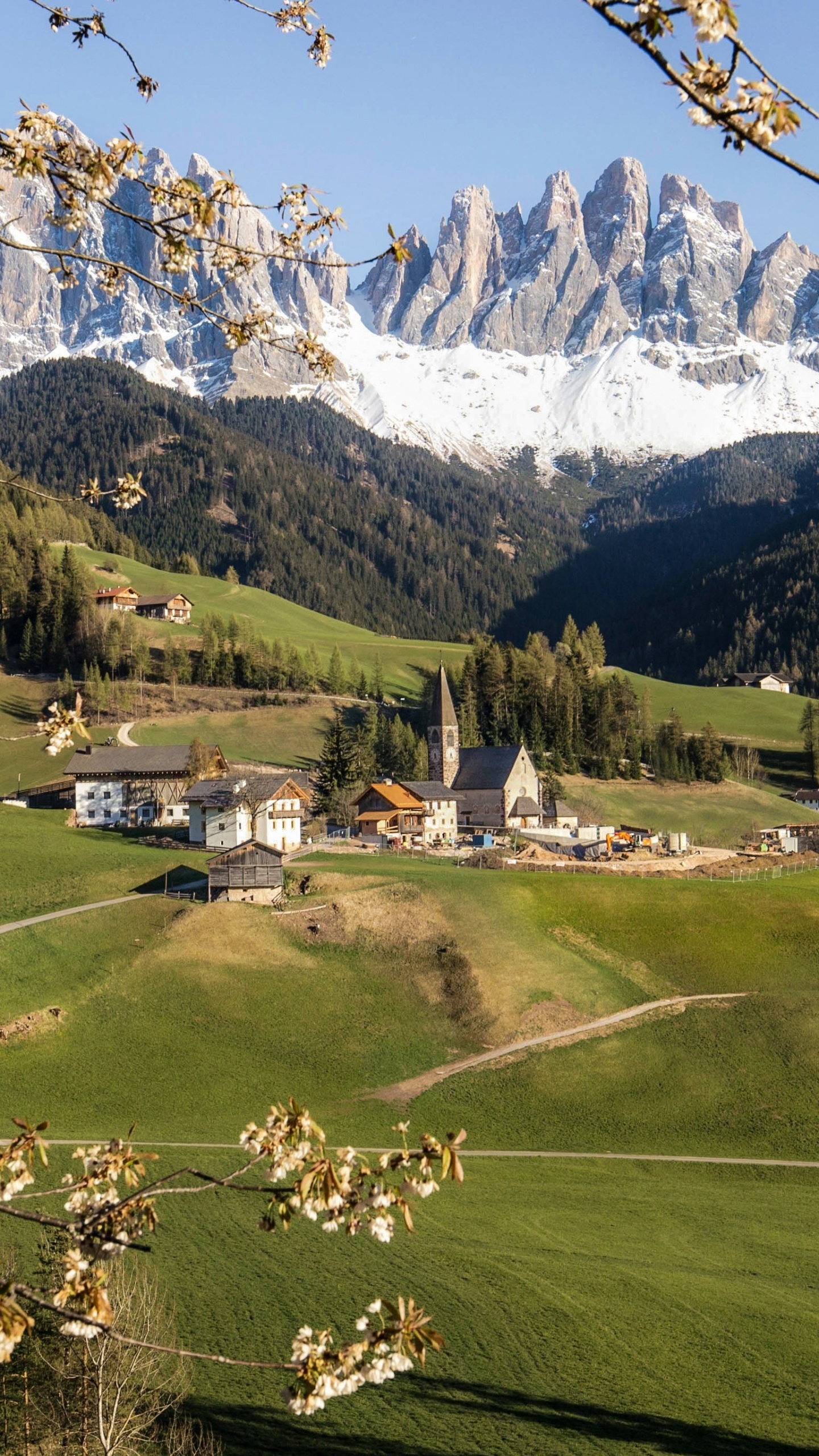 Funes Tal, Dolomiten, Natur, Naturlandschaft, Baum. Wallpaper in 1440x2560 Resolution