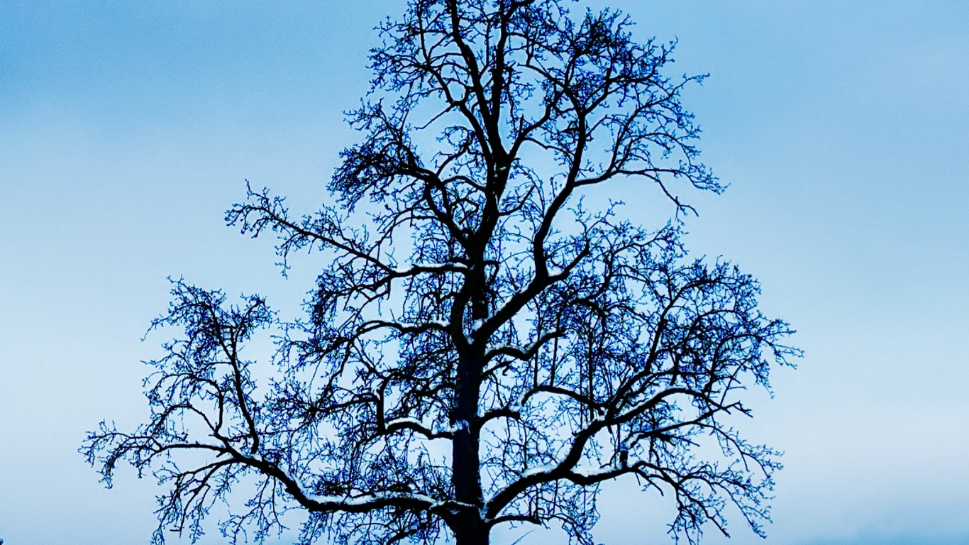 Galerie 1313, Art, Exposition, Artiste, Sur Gallery. Wallpaper in 1366x768 Resolution