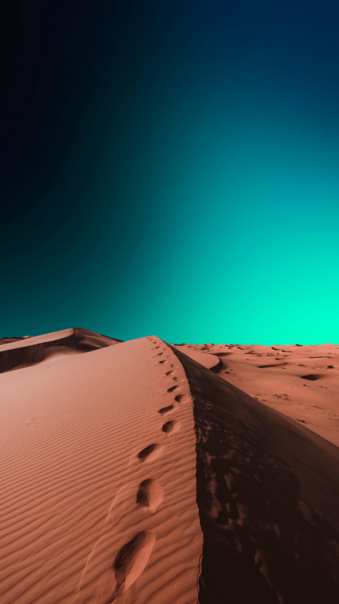 棕色, 斜坡, Erg, 生物群落, 地平线 壁纸 1080x1920 允许