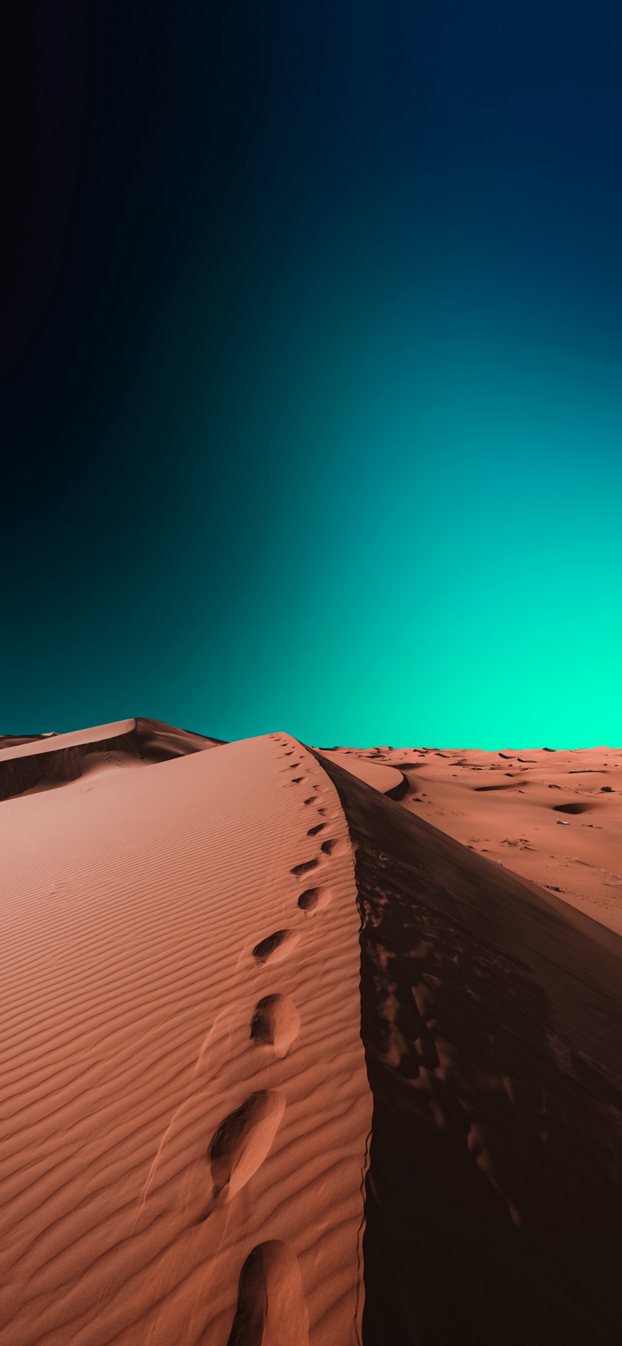 棕色, 斜坡, Erg, 生物群落, 地平线 壁纸 1242x2688 允许