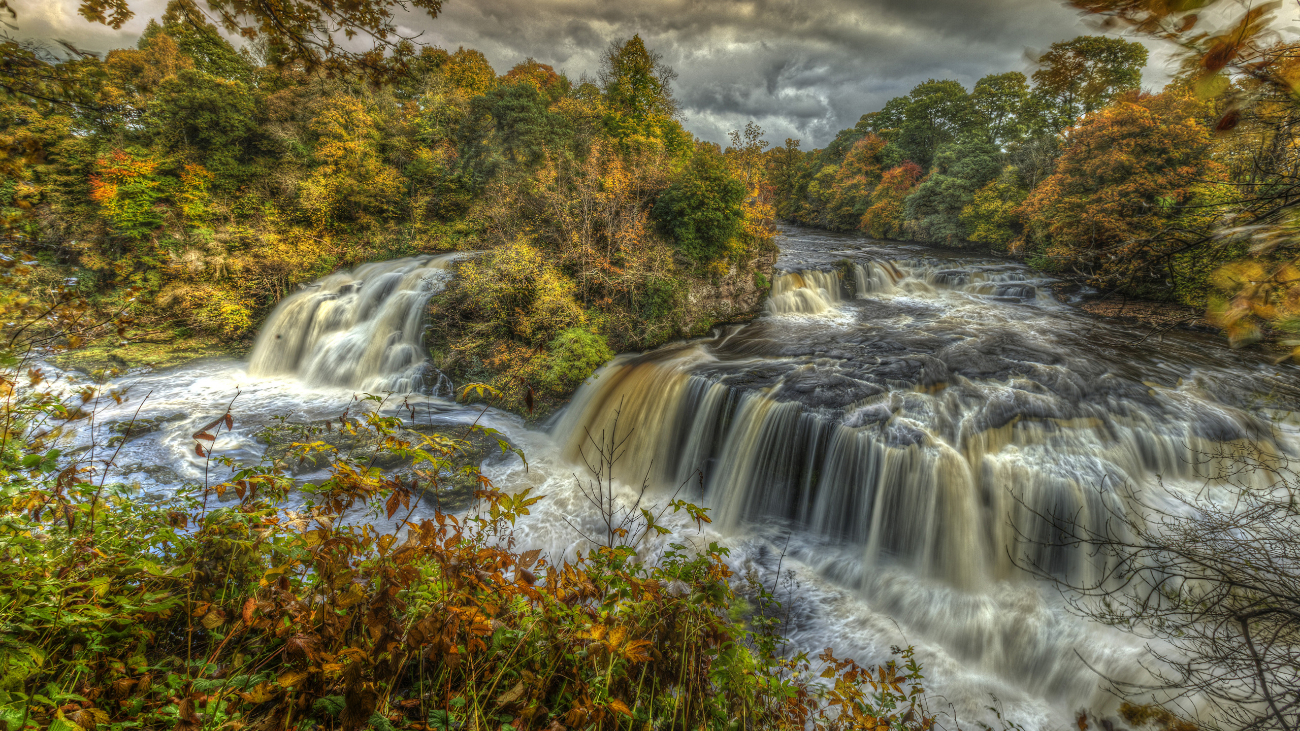 Water Falls in The Middle of Green Trees. Wallpaper in 2560x1440 Resolution