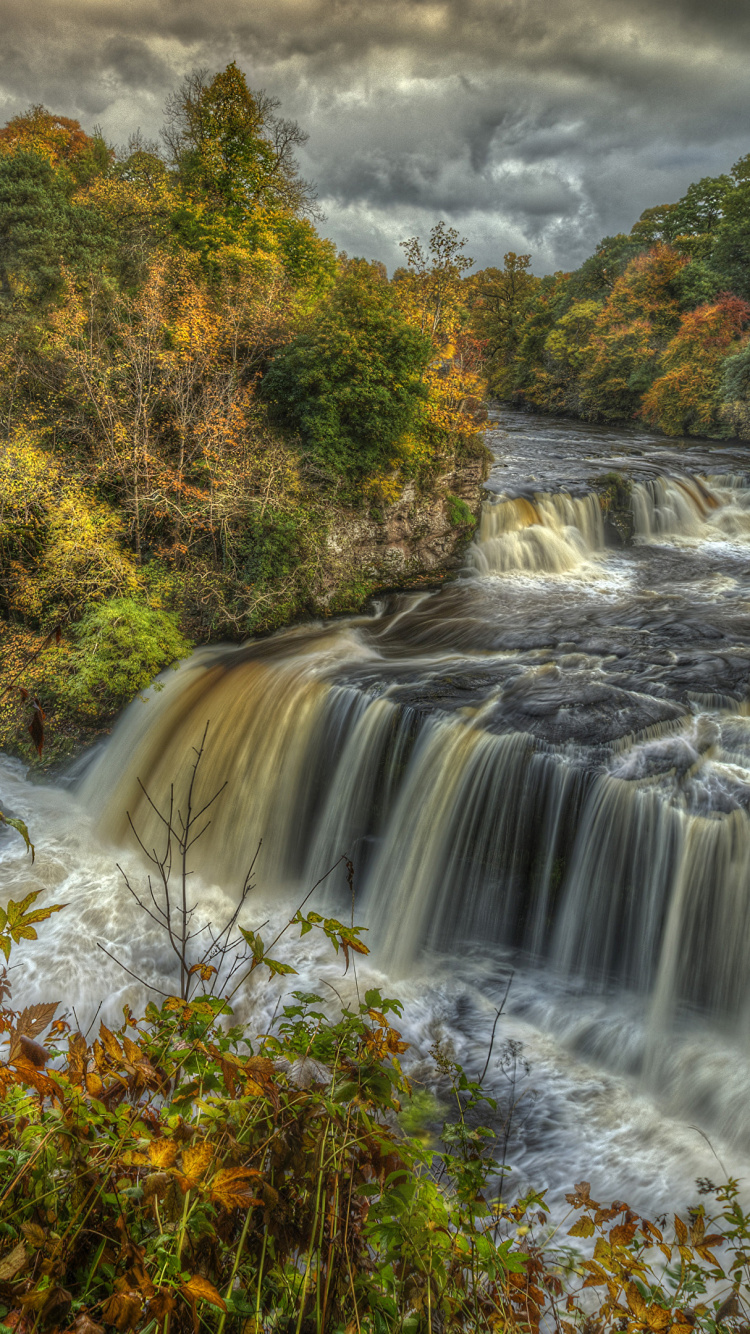L'eau Tombe au Milieu Des Arbres Verts. Wallpaper in 750x1334 Resolution