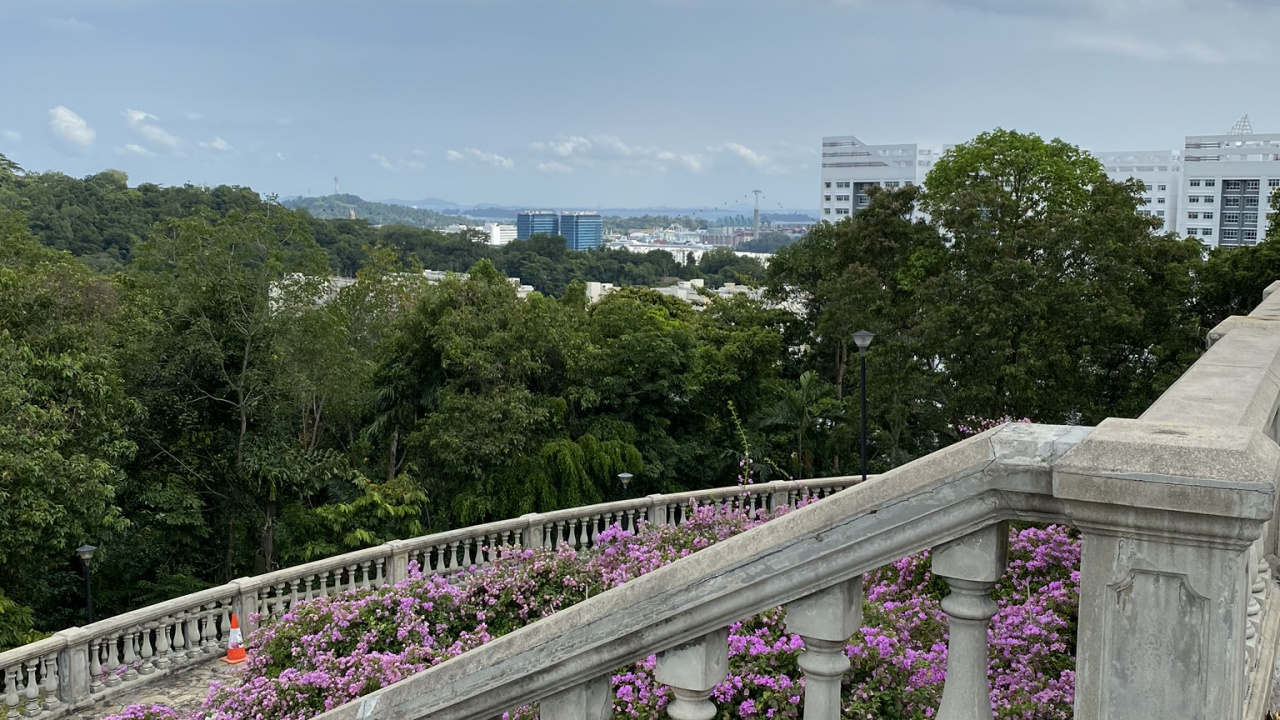 Purple, Magenta, Arbuste, Violette, Lavande. Wallpaper in 1280x720 Resolution