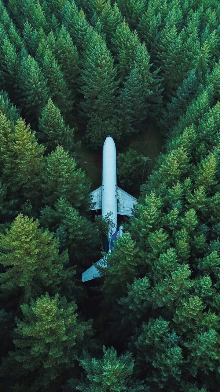 Avion en el Bosque, Aeronave, Vuelo, Naturaleza, Paisaje Natural. Wallpaper in 720x1280 Resolution