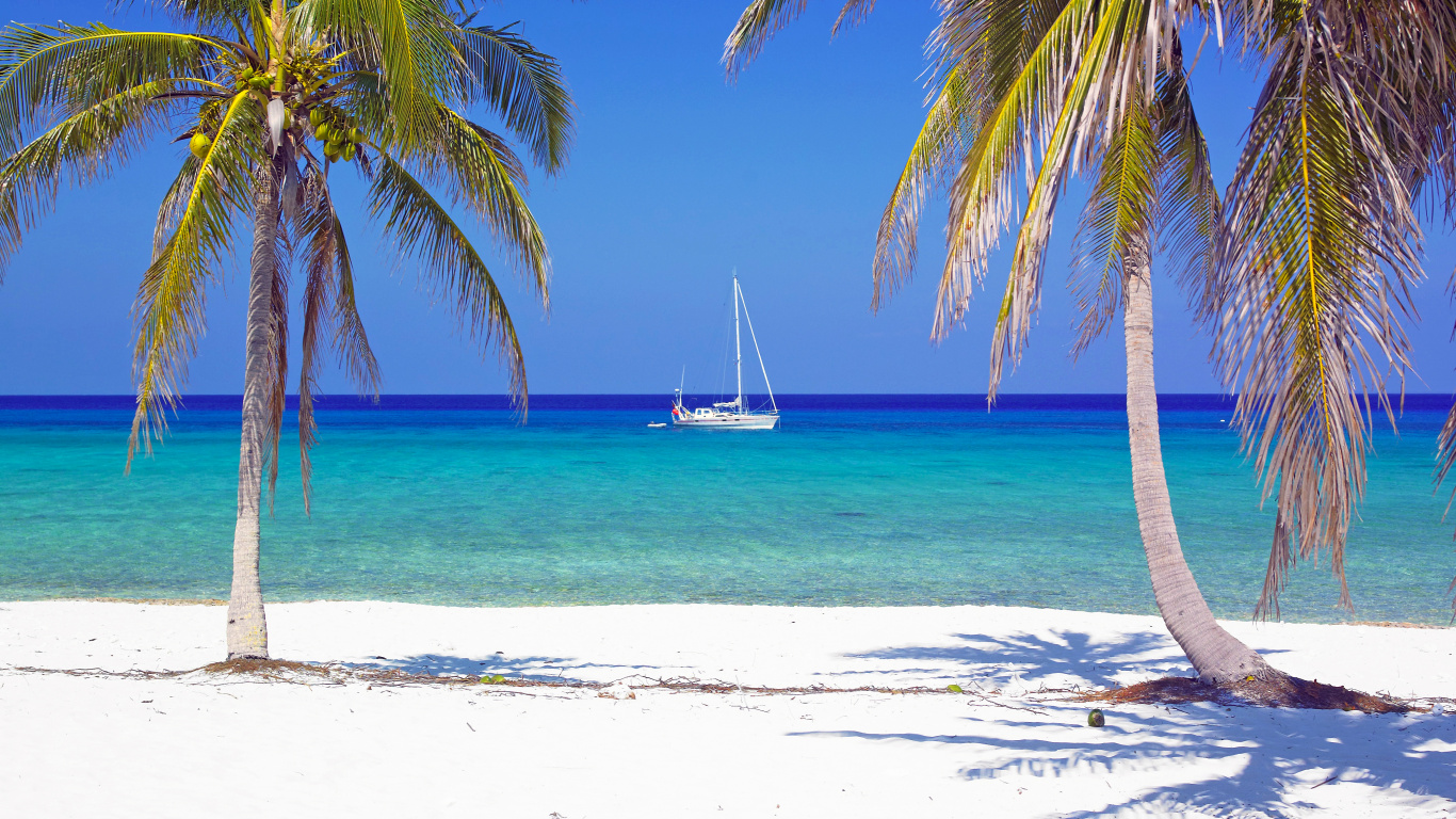 White Sailboat on Sea Shore During Daytime. Wallpaper in 1366x768 Resolution
