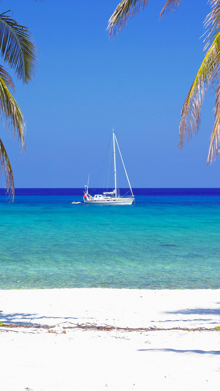 White Sailboat on Sea Shore During Daytime. Wallpaper in 750x1334 Resolution