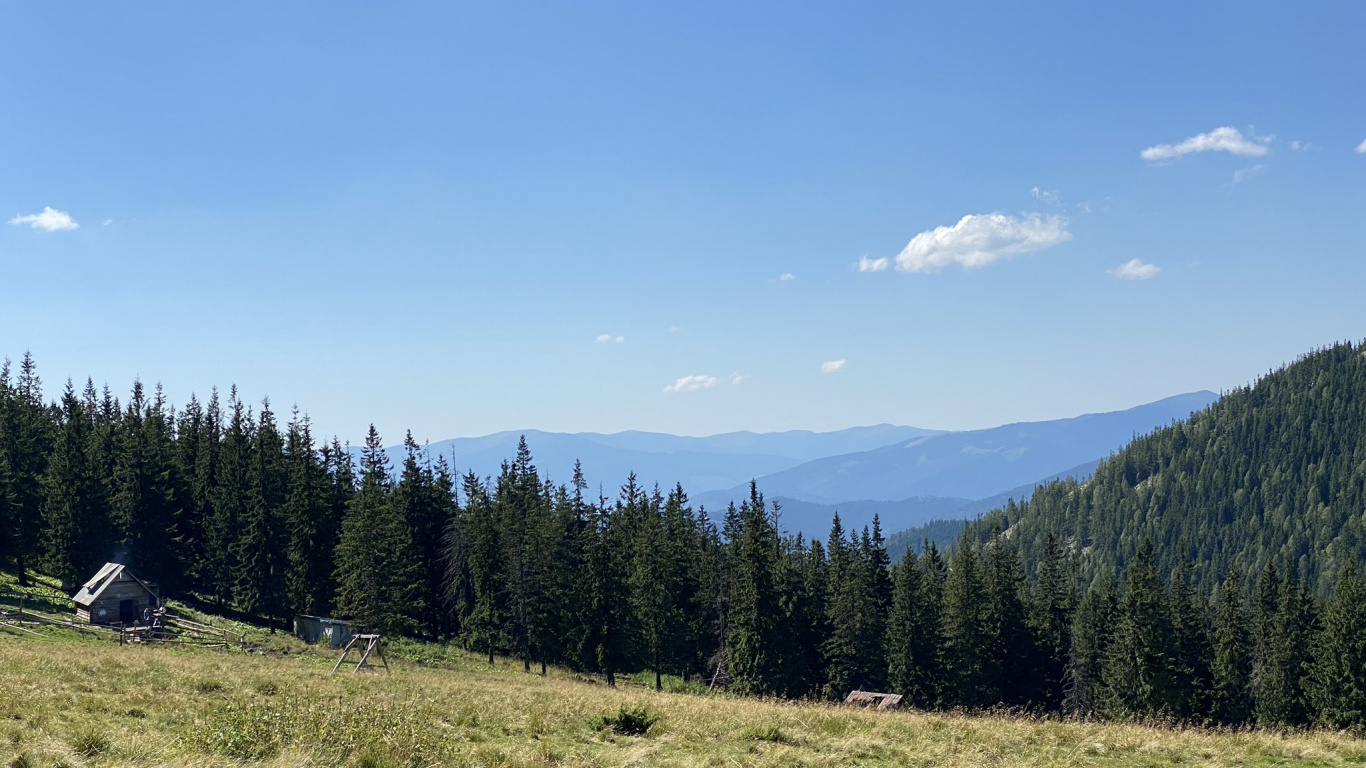 Wilderness, Grondstck, Baugrundstck, Land Lot, Natural Environment. Wallpaper in 1366x768 Resolution