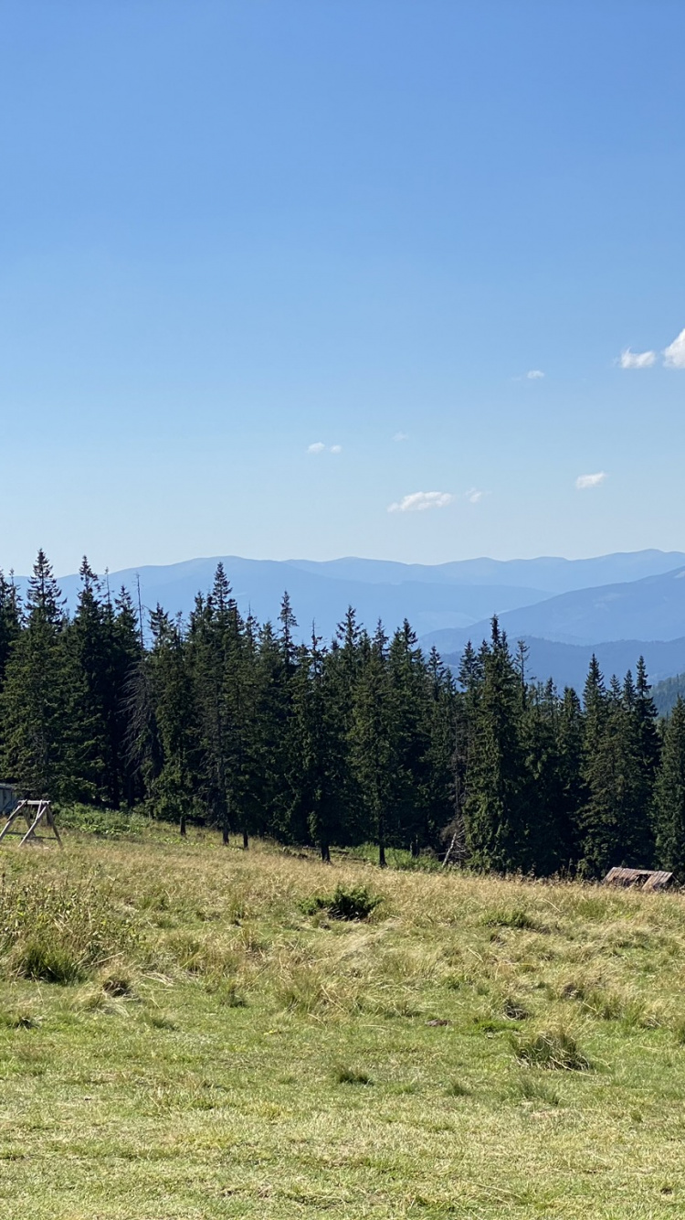 Wilderness, Grondstck, Baugrundstck, Land Lot, Natural Environment. Wallpaper in 750x1334 Resolution