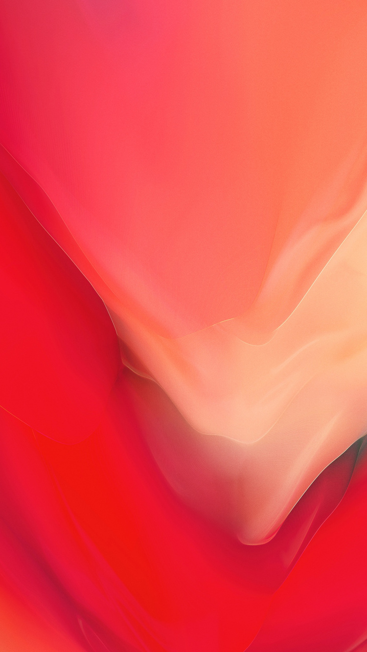 OnePlus 6, Flower, Plant, Petal, Magenta. Wallpaper in 750x1334 Resolution