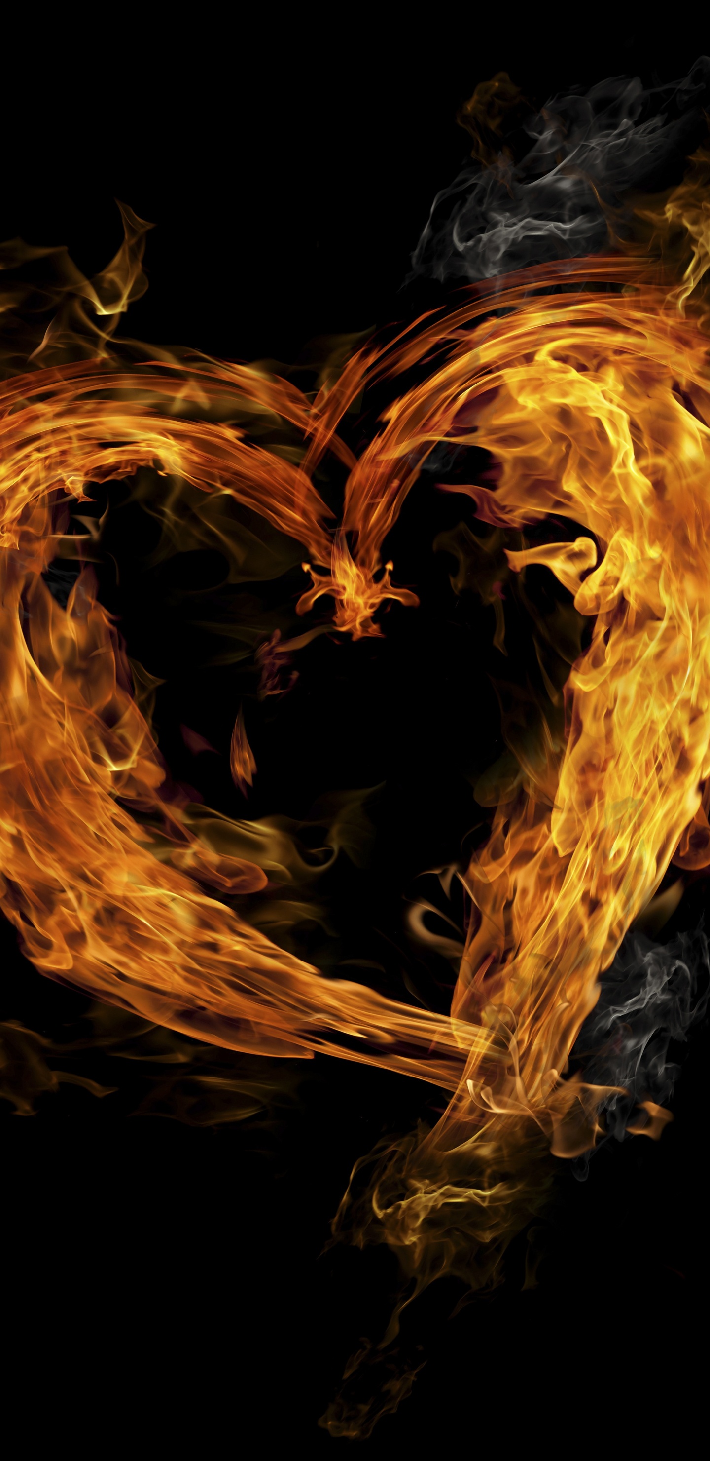 Fuego, Ilustración, Coraz, Amor, Llama. Wallpaper in 1440x2960 Resolution