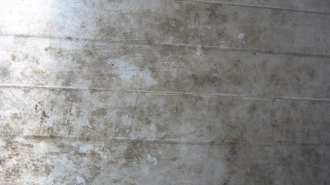 Persona Con Zapatos Negros de Pie Sobre un Piso de Concreto Gris. Wallpaper in 1280x720 Resolution