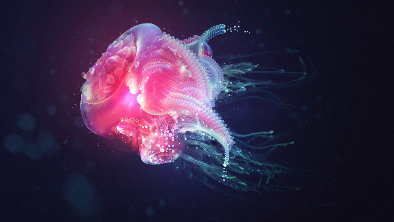 Purple and Green Jellyfish in Water. Wallpaper in 1280x720 Resolution
