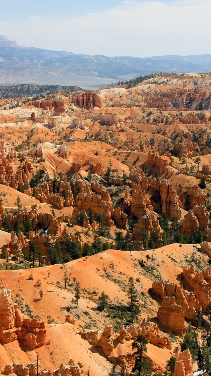 Bryce Canyon National Park, Zion National Park, Nationalpark, Park, Bryce Canyon Zion Nationalpark. Wallpaper in 720x1280 Resolution