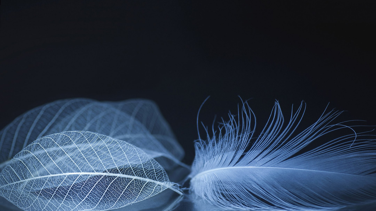 ZTE, ZTE Axon M, Zte Axone, Zte Axon 10 Pro, Smartphone. Wallpaper in 1280x720 Resolution