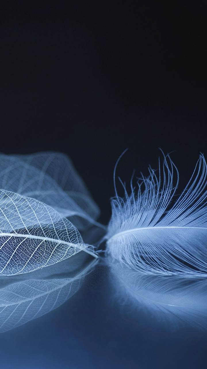 ZTE, ZTE Axon M, Zte Axone, Zte Axon 10 Pro, Smartphone. Wallpaper in 720x1280 Resolution