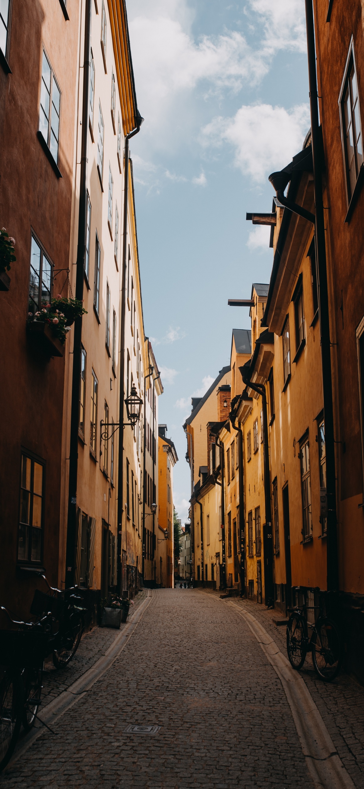 Route Vide Entre Les Bâtiments en Béton Brun Pendant la Journée. Wallpaper in 1242x2688 Resolution