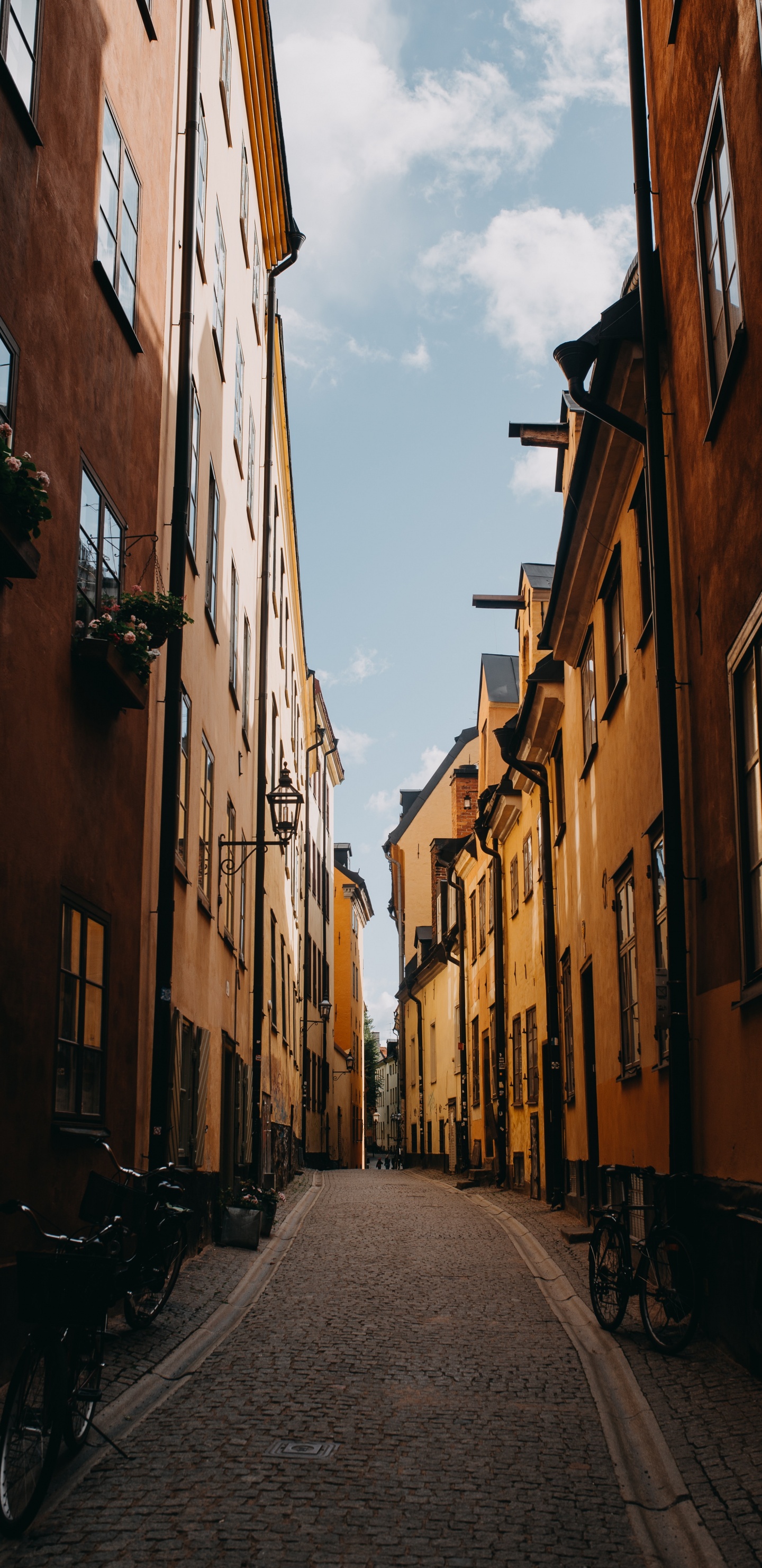 Route Vide Entre Les Bâtiments en Béton Brun Pendant la Journée. Wallpaper in 1440x2960 Resolution