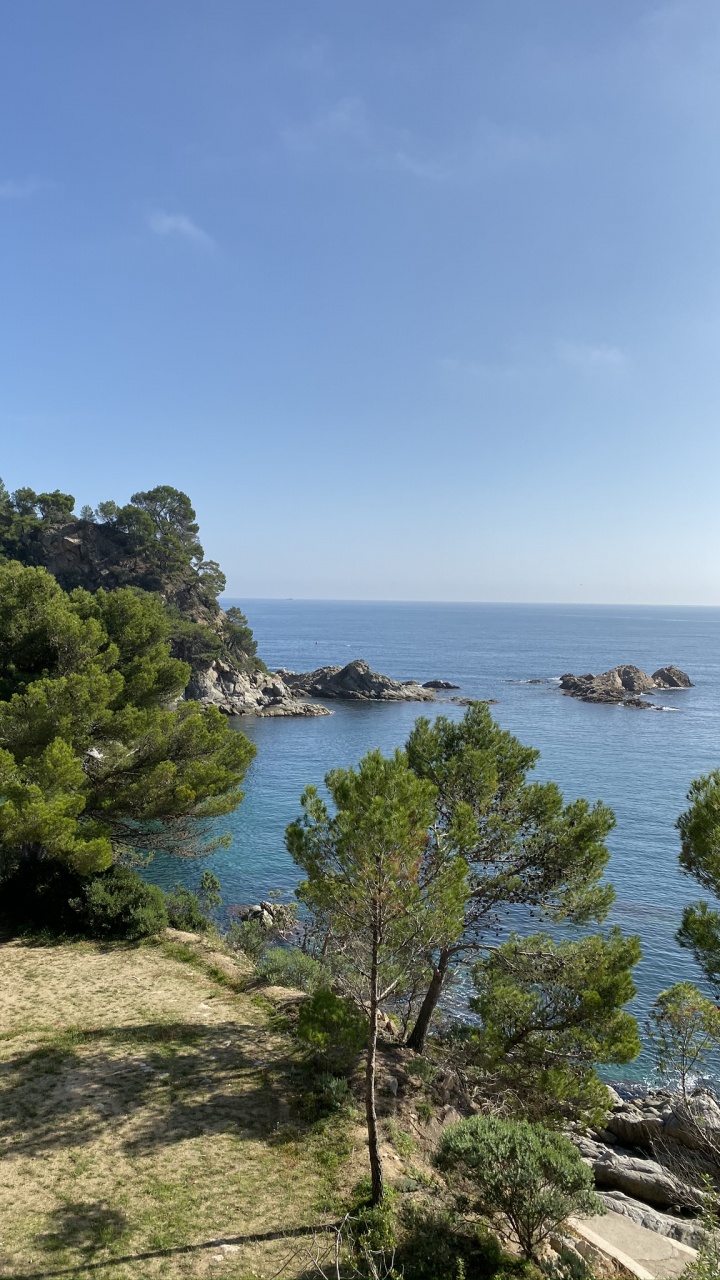 Côte, Végétation, Paysage Naturel, Banque, Rive. Wallpaper in 720x1280 Resolution