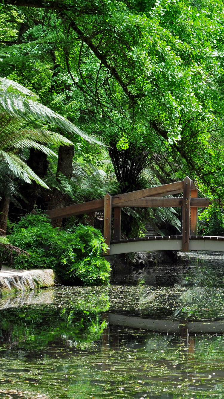 Green Trees Near Body of Water During Daytime. Wallpaper in 750x1334 Resolution