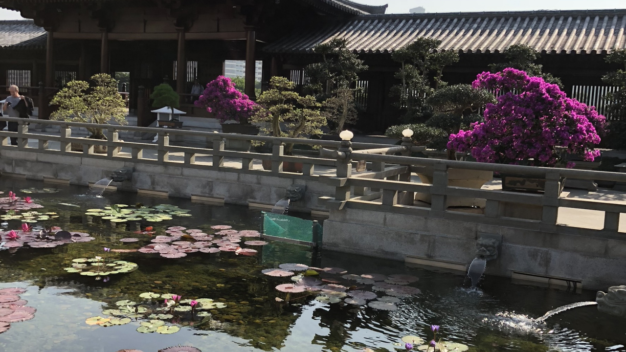 Hong Kong, Chinese Architecture, Tourism, Water, Tourist Attraction. Wallpaper in 1280x720 Resolution