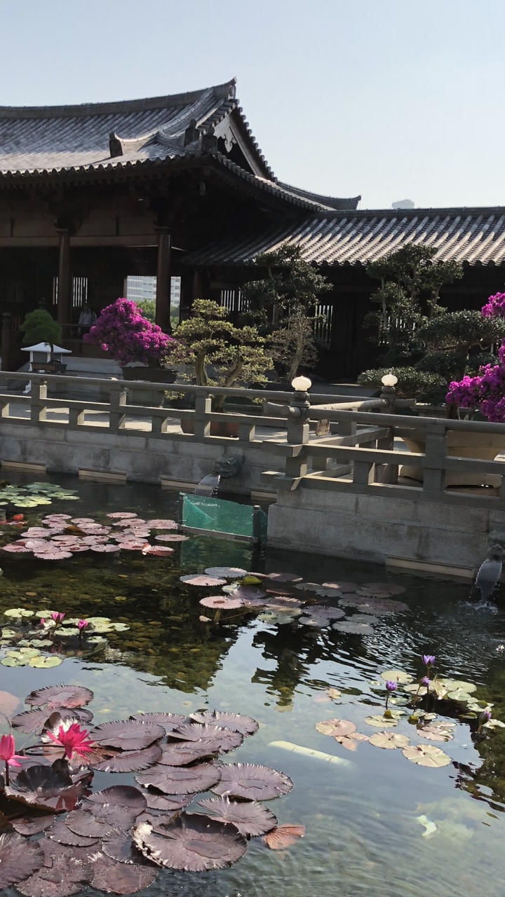 Hong Kong, Chinese Architecture, Tourism, Water, Tourist Attraction. Wallpaper in 720x1280 Resolution