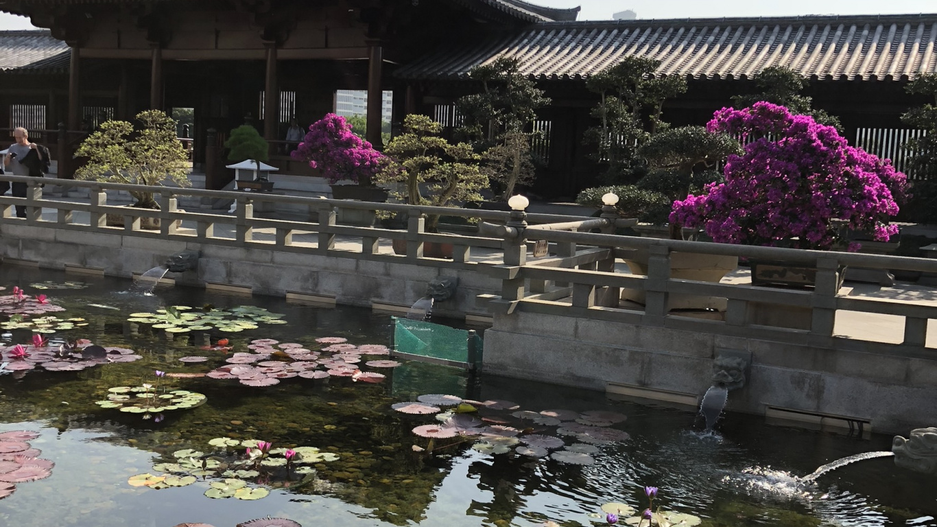 Hongkong, Chinesische Architektur, Tourismus, Wasser, Sehenswürdigkeit. Wallpaper in 1366x768 Resolution