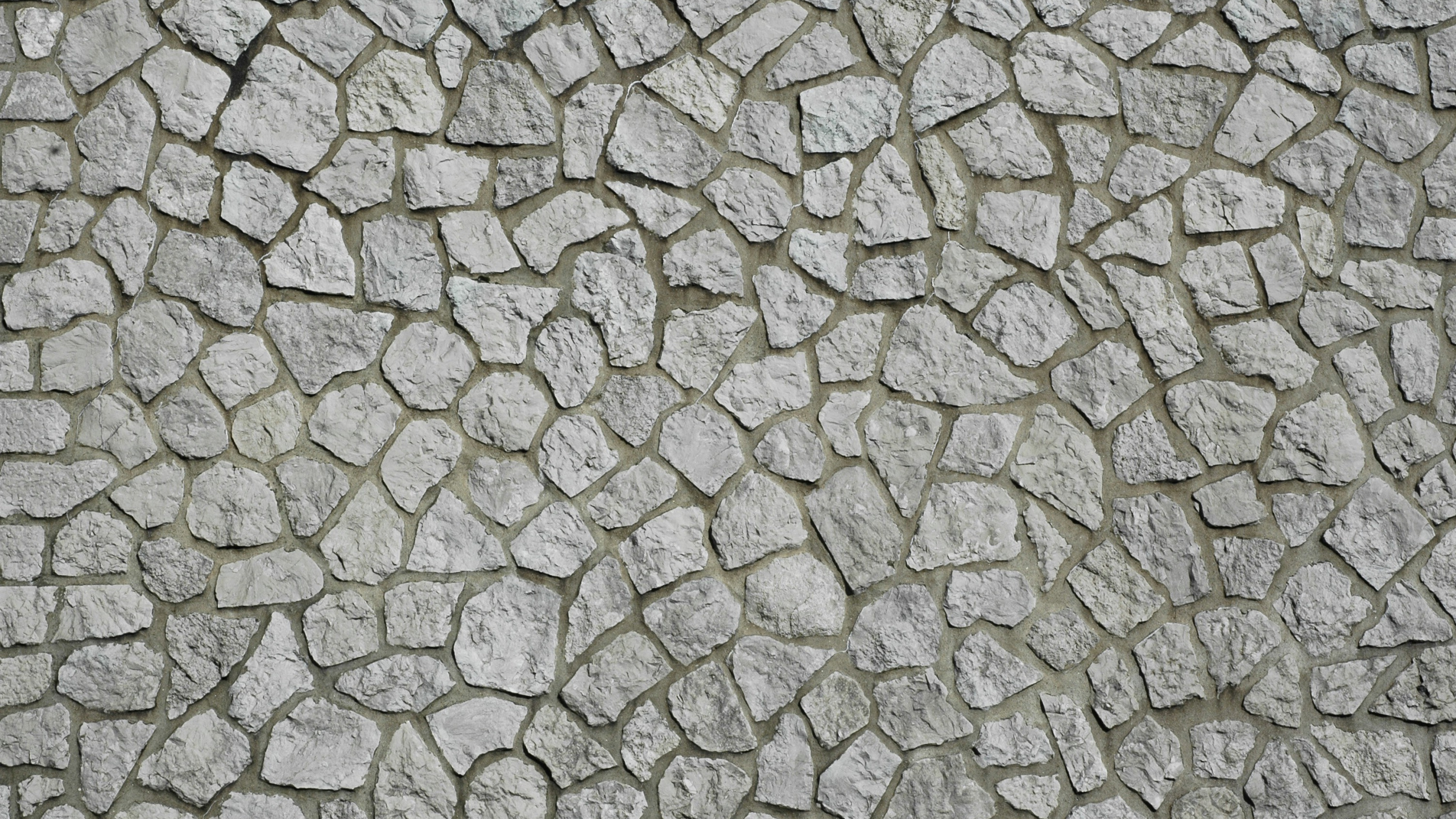 Pavé de Béton Gris et Blanc. Wallpaper in 2560x1440 Resolution