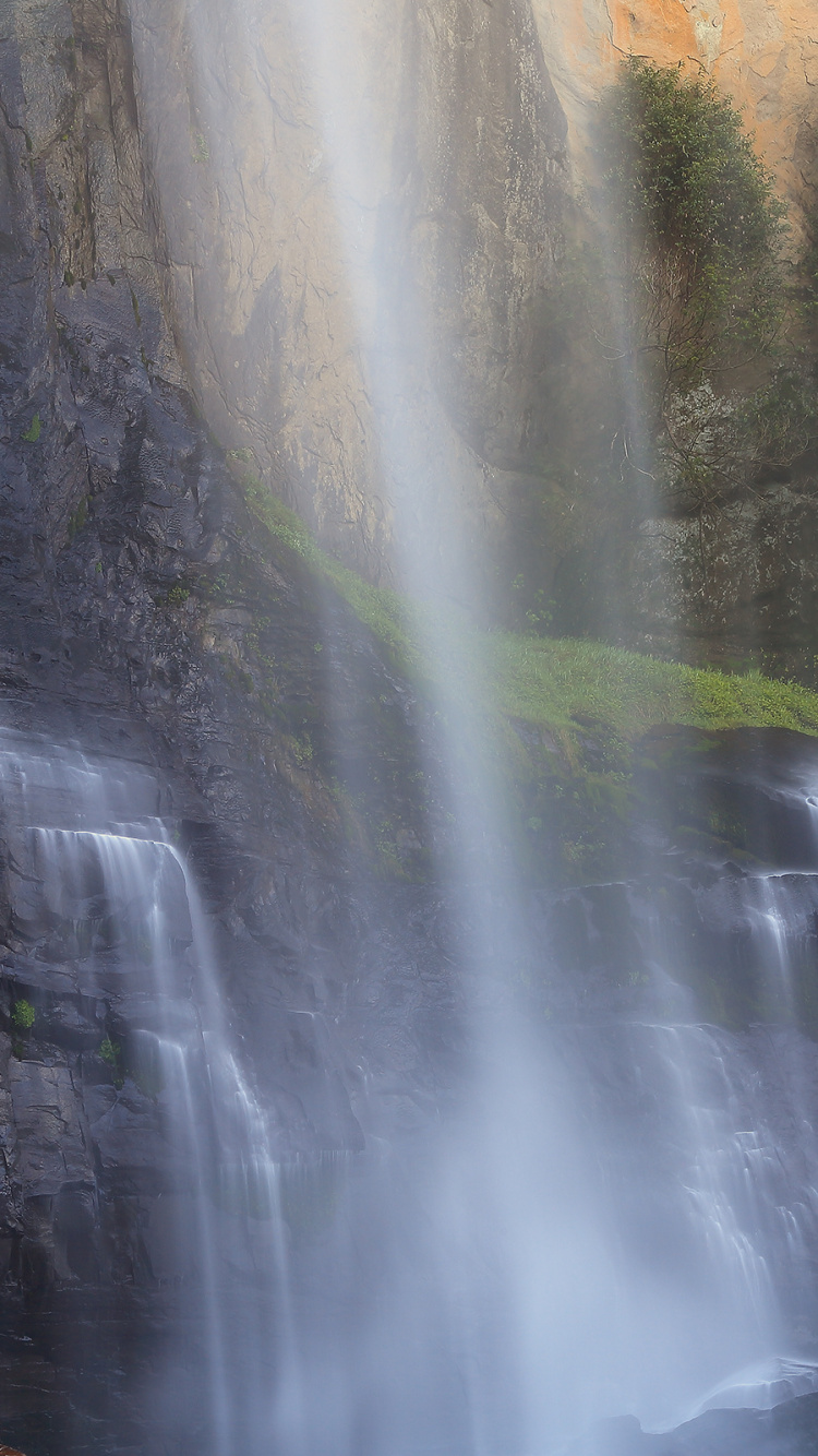 Water Falls in The Middle of The Forest. Wallpaper in 750x1334 Resolution