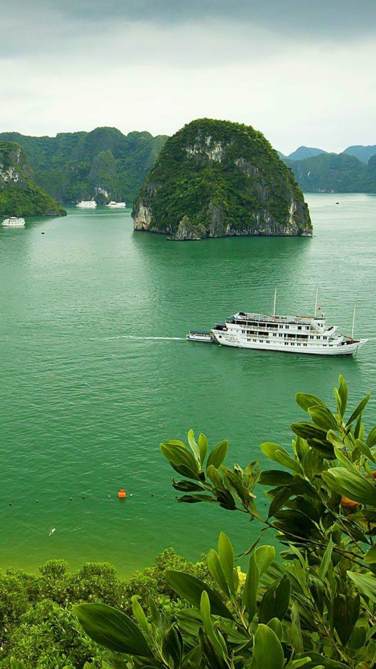 人体内的水, 性质, 沿海和海洋地貌, 热带地区, 旅游业 壁纸 750x1334 允许