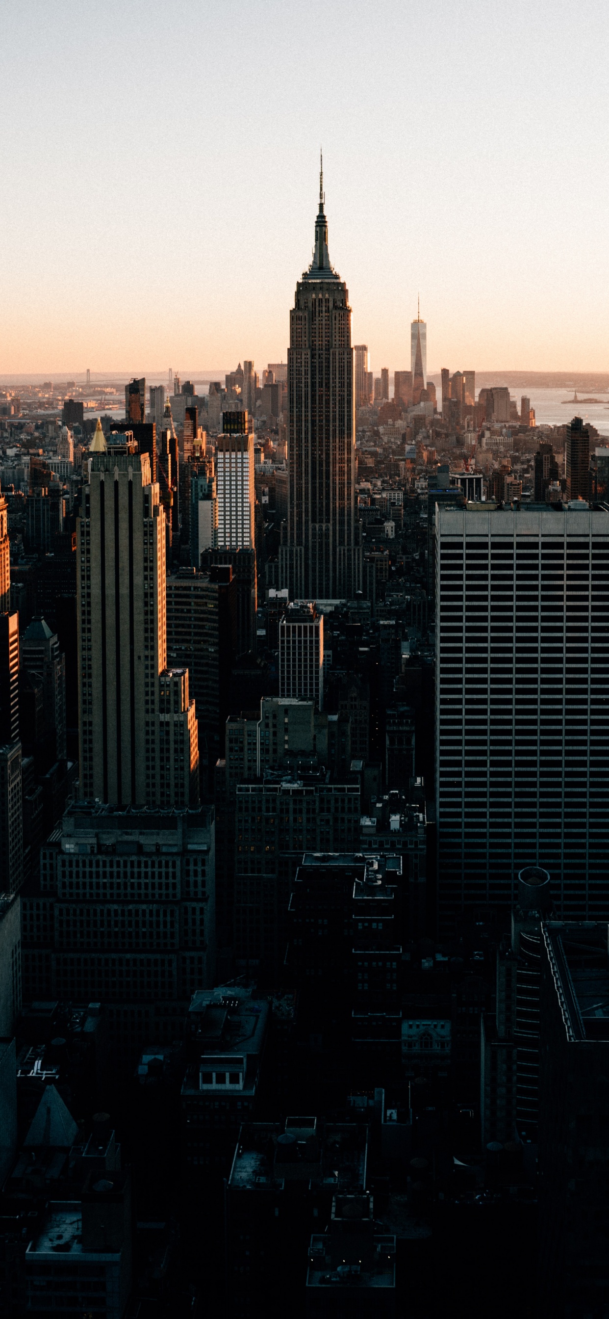 New York City, New York City Skyline, Building, Skyscraper, Daytime. Wallpaper in 1242x2688 Resolution