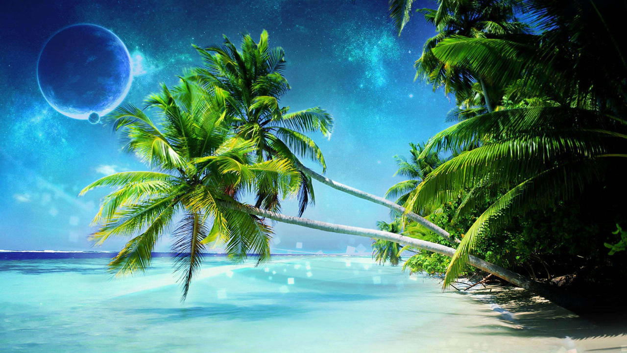 Cocotier Vert Sous Ciel Bleu. Wallpaper in 1280x720 Resolution