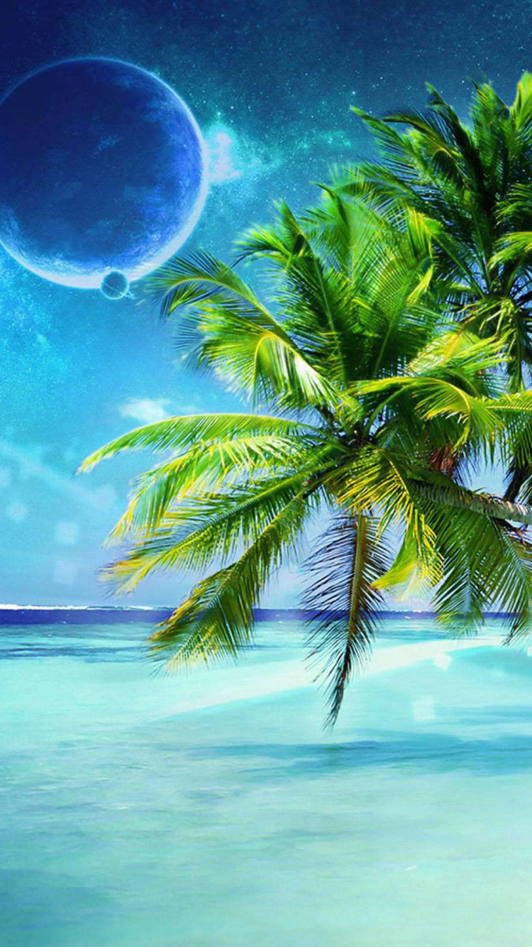 Cocotier Vert Sous Ciel Bleu. Wallpaper in 750x1334 Resolution