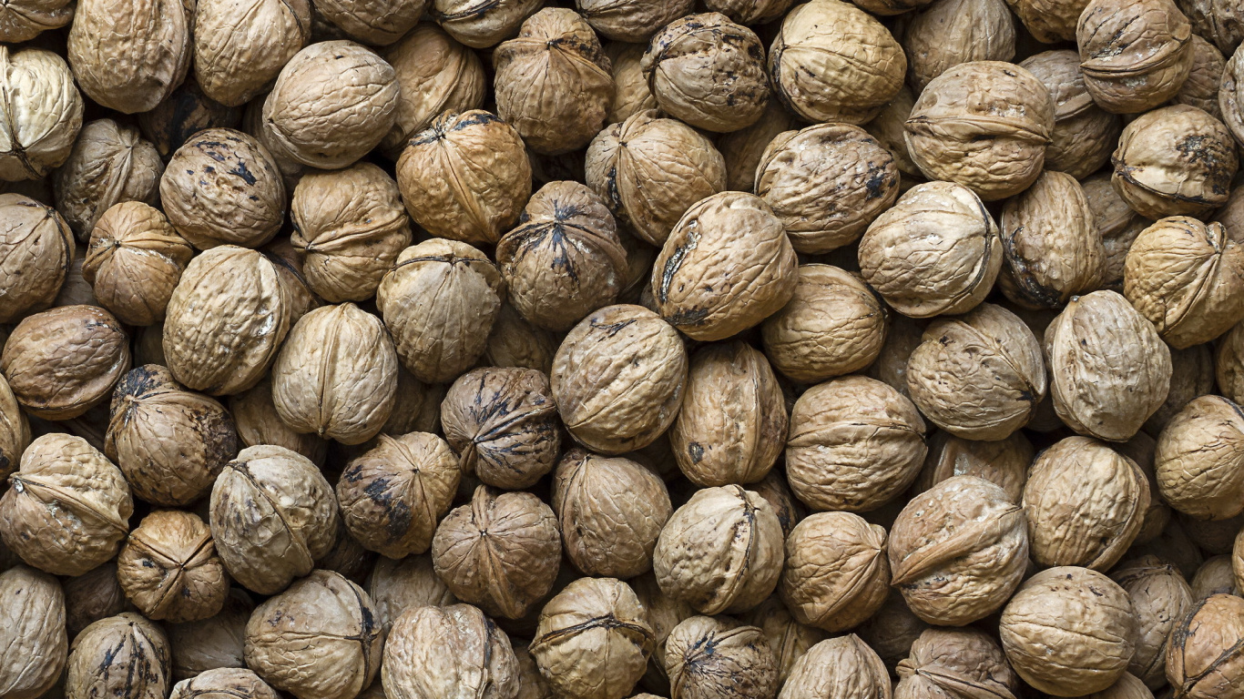 Brown and Beige Round Fruit. Wallpaper in 1366x768 Resolution