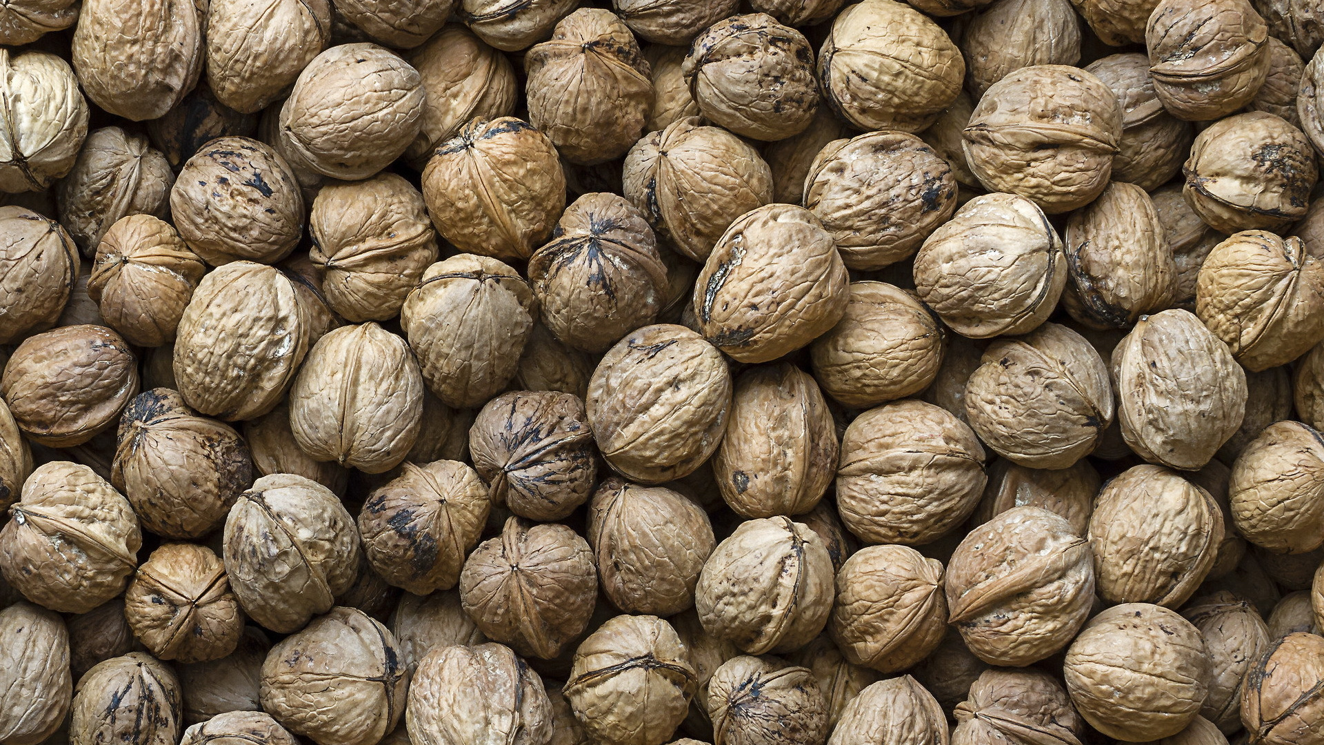Brown and Beige Round Fruit. Wallpaper in 1920x1080 Resolution