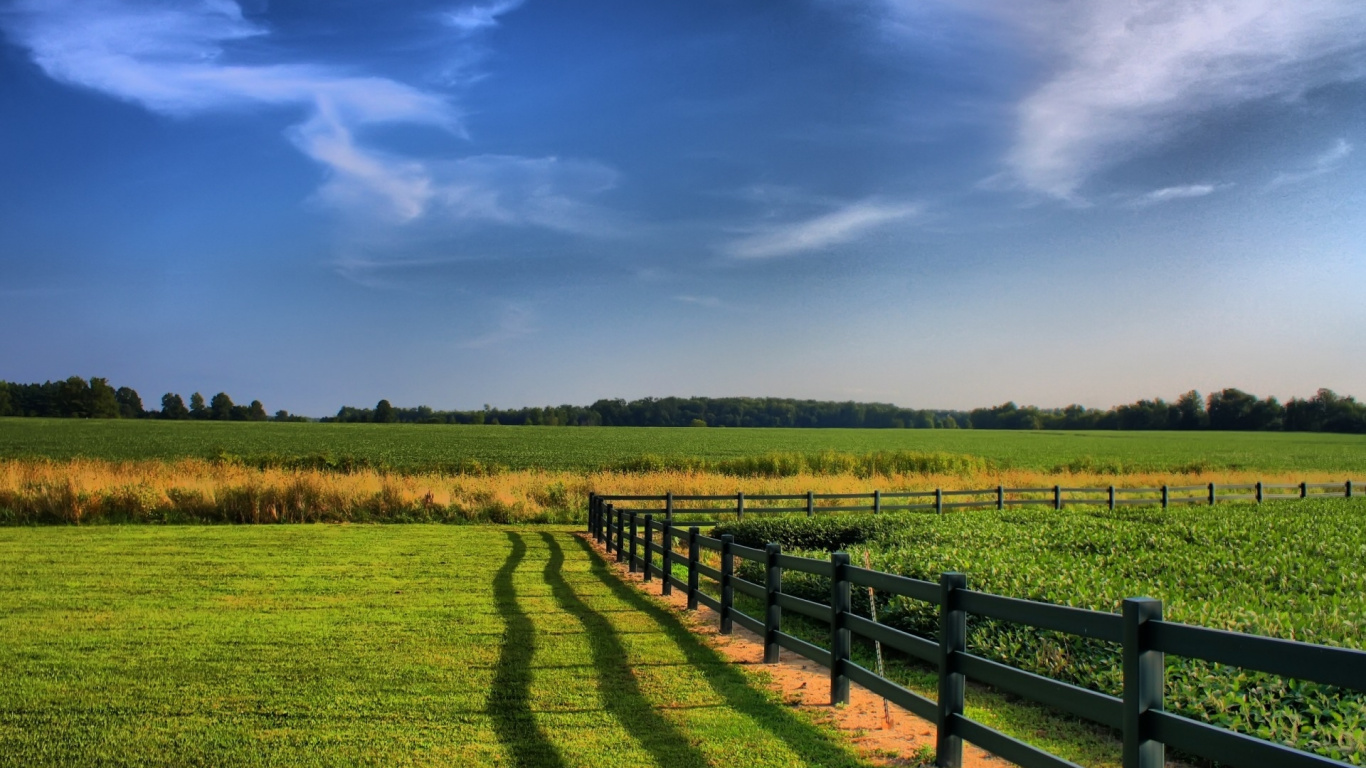 Green Grass Field Under Blue Sky During Daytime. Wallpaper in 1366x768 Resolution