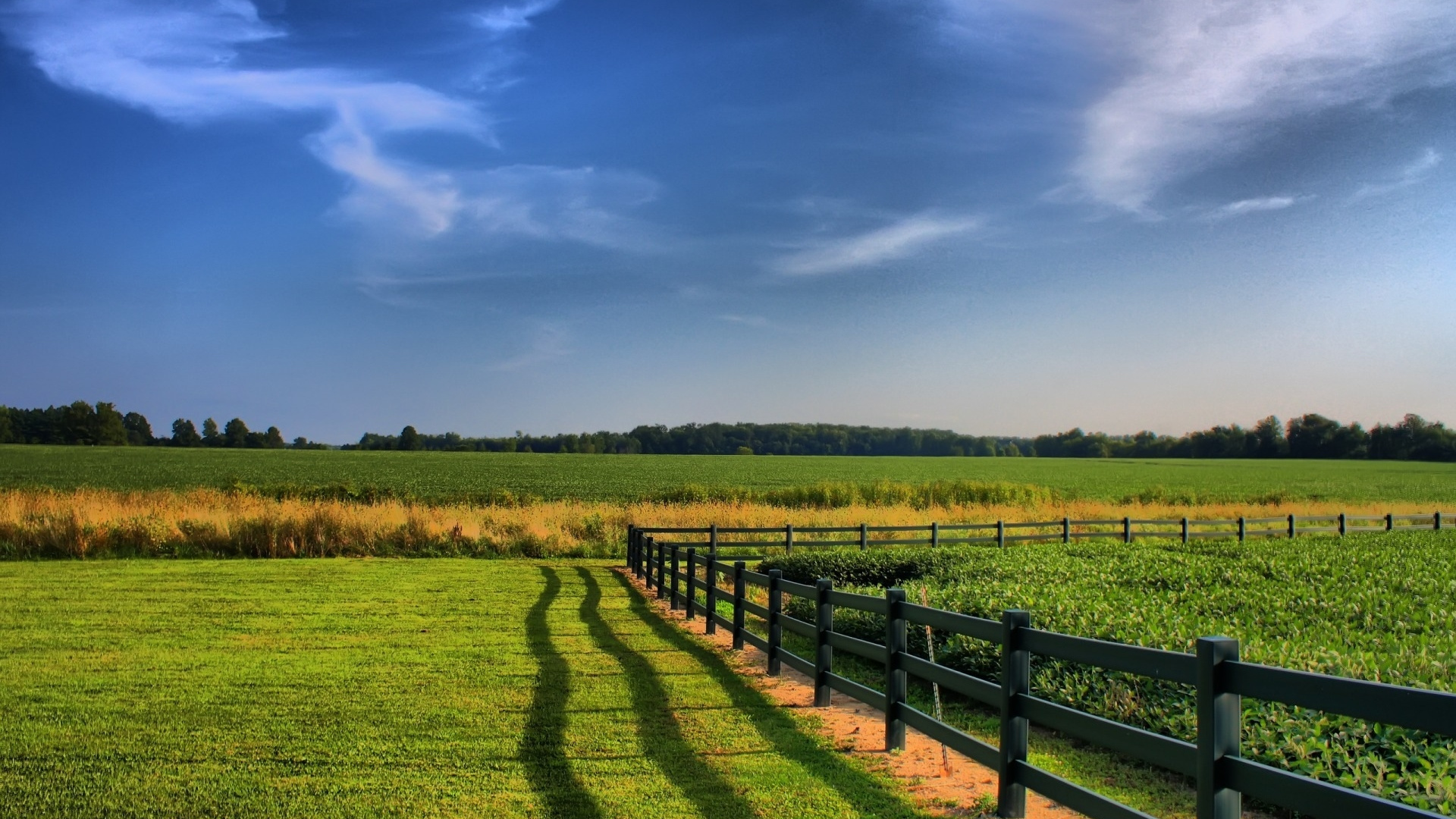 Green Grass Field Under Blue Sky During Daytime. Wallpaper in 1920x1080 Resolution