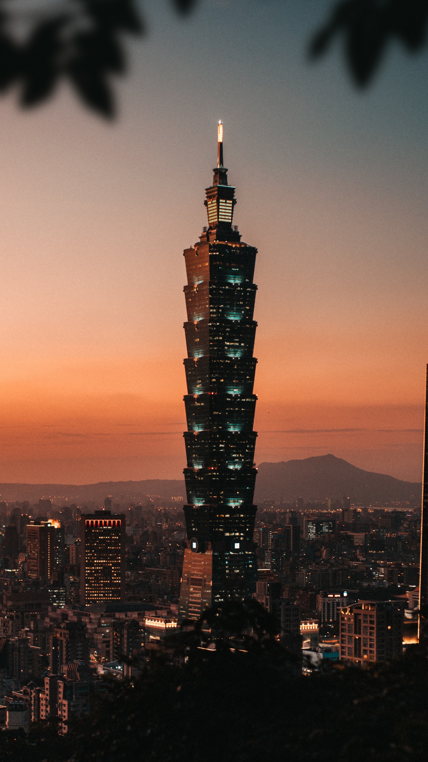 Horizonte de la Ciudad Durante la Noche. Wallpaper in 1440x2560 Resolution